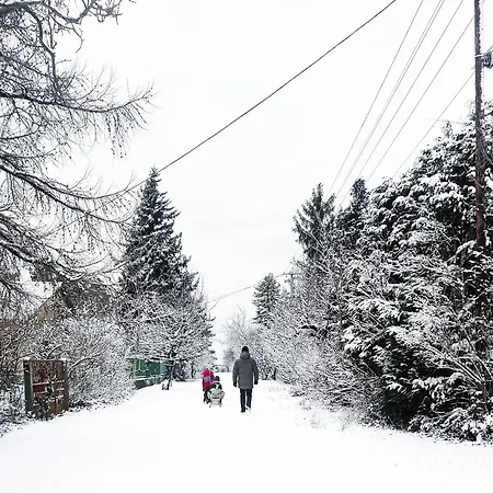 Bodorka - Csak A Tied! 벌러토너커러처