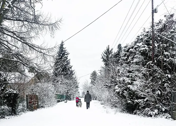 Bodorka - Csak A Tied! Balatonakarattya